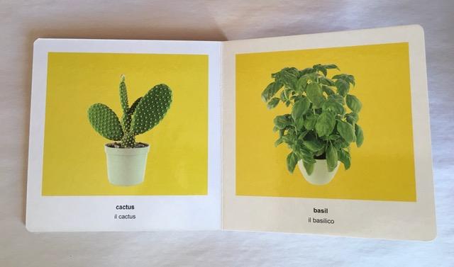 Plants - Le Piante - Bilingual